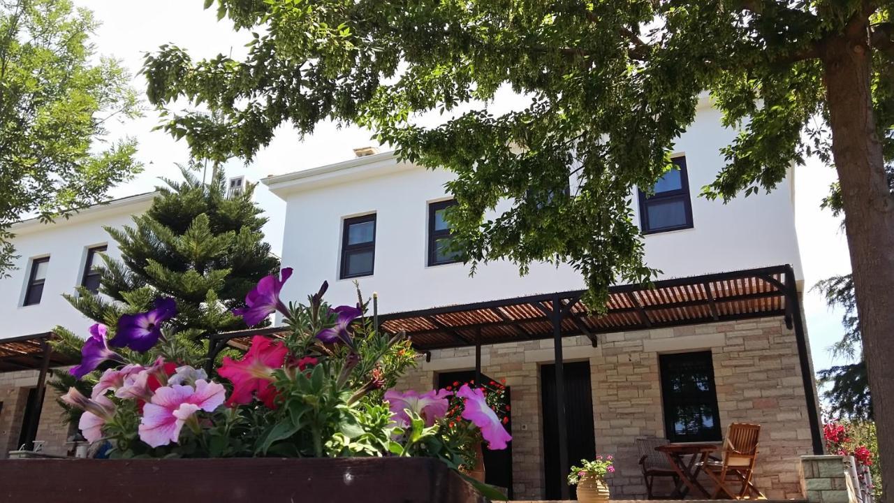 Sivota Apartments Athina Dış mekan fotoğraf